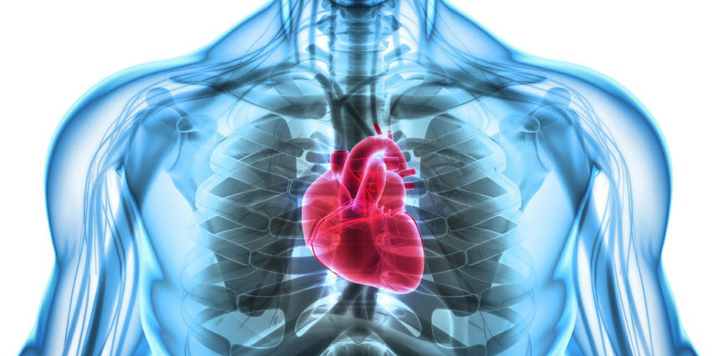 What Is Heart Attack And How To manage It